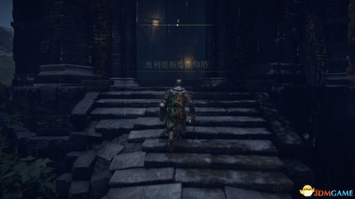 《艾尔登法环》全魔法师塔封印徽章解锁攻略：揭秘黑夜君临新秘籍