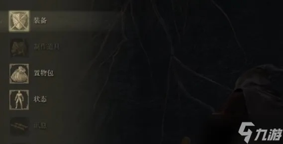 《艾尔登法环》角色轻松切换攻略：掌握独家换装技巧