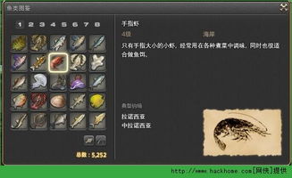 《幻想生活i》钓冻结金枪鱼攻略：揭秘高效捕获技巧