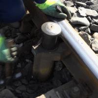 《怪物火车2》蘑菇人快速通关秘籍:掌握核心技巧,轻松征服挑战 《怪物火车2》蘑菇人快速通关秘籍:掌握核心技巧,轻松征服挑战