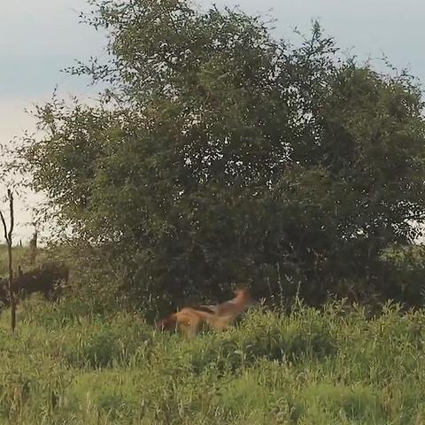 《马里奥3D世界》销量霸榜，连续四周领跑英国市场，玩家热捧新巅峰