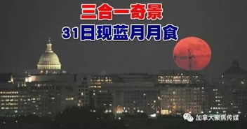 《光与影33号》独家揭秘：高效获取“来生再会”唱片攻略！