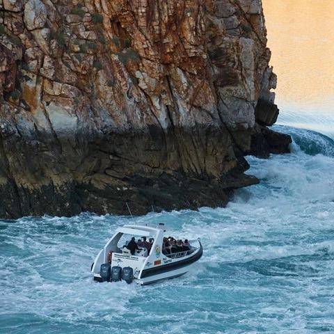 《死亡细胞》DLC2“致命瀑布”1月26日震撼上线,独家揭秘全新战斗元素! 《死亡细胞》DLC2“致命瀑布”1月26日震撼上线,独家揭秘全新战斗元素!