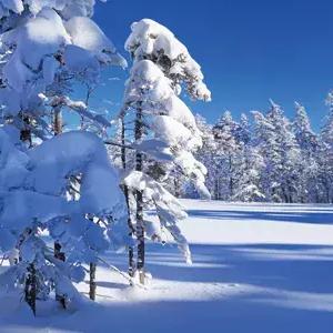 《光与影33号》抗冰封符纹攻略：高效获取秘籍大揭秘