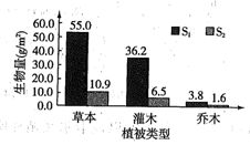 《光与影33号》恢复符纹攻略:揭秘高效自动自然恢复技巧 《光与影33号》恢复符纹攻略:揭秘高效自动自然恢复技巧