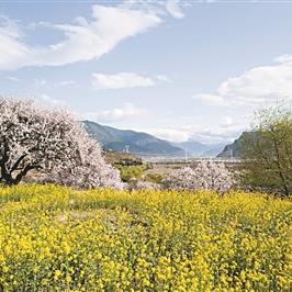 春意原野默偶攻略:33号远征队独享位置揭秘 春意原野默偶攻略:33号远征队独享位置揭秘