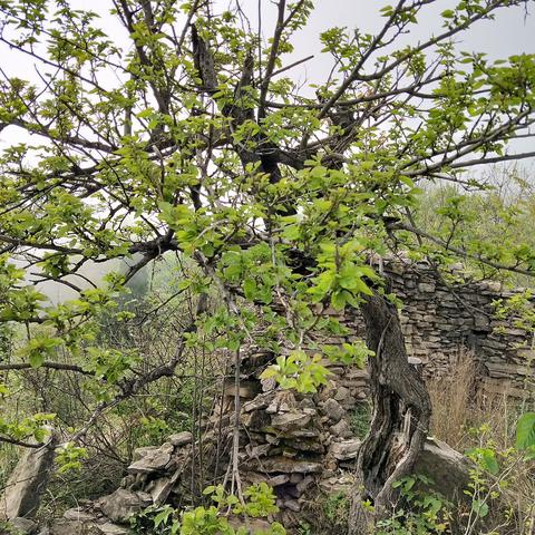 绝地求生探蛋家新攻略,揭秘本月热门玩法技巧 绝地求生探蛋家新攻略,揭秘本月热门玩法技巧