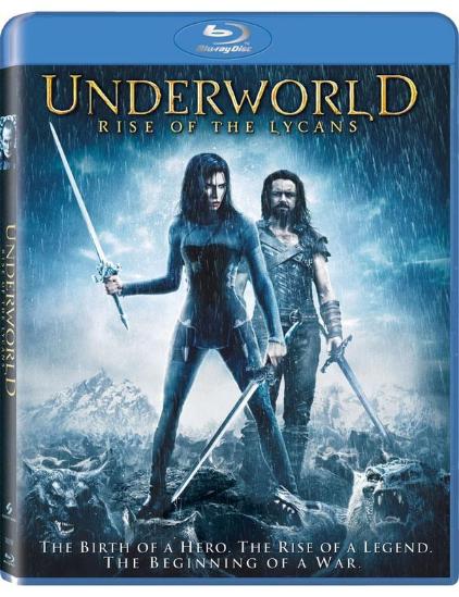 C罗独家揭秘:群狼之城饿狼传说背后的传奇故事 C罗独家揭秘:群狼之城饿狼传说背后的传奇故事