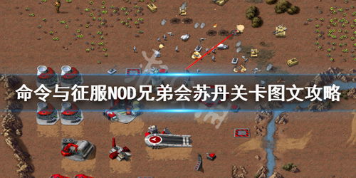 《苏丹游戏》善名值提升攻略:揭秘高效增名之道 《苏丹游戏》善名值提升攻略:揭秘高效增名之道