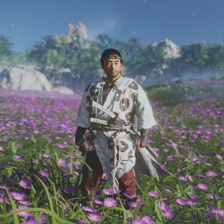 《对马岛之鬼》取消真相曝光：独家揭秘全新游戏价值揭秘