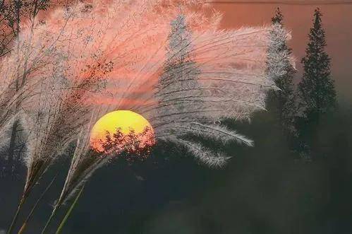 《 Valorant》首位外挂封禁大揭秘，反作弊团队严阵以待显神威