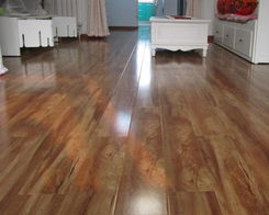 地板焕新攻略：揭秘《云族裔inzoi》地板样式改造秘籍