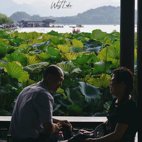 《梦之形》攻略必备:深度解析购买指南与配置秘籍 《梦之形》攻略必备:深度解析购买指南与配置秘籍