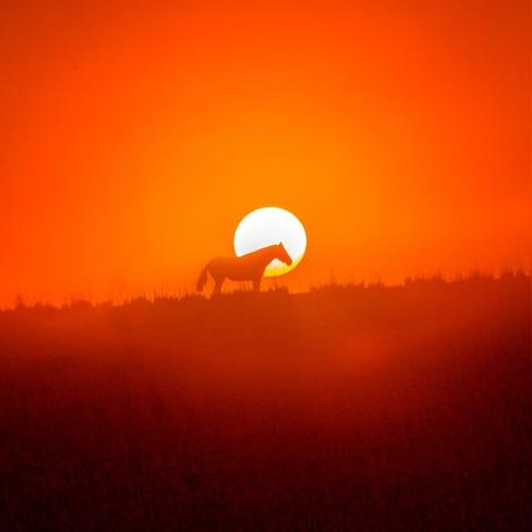 《守望先锋2》开发团队心碎揭秘：游戏泄露真相曝光