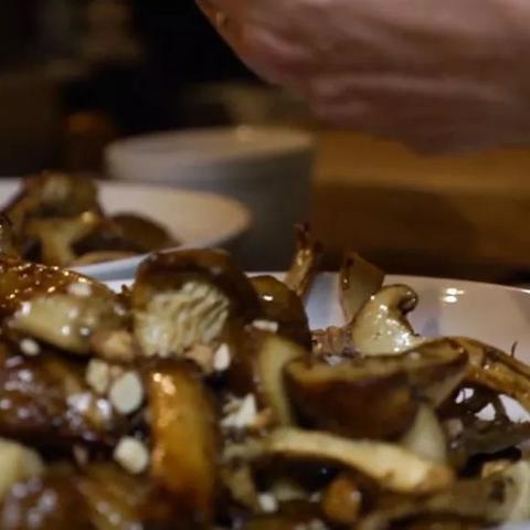 《荒野猎人食材秘籍》解锁食材获取新攻略 《荒野猎人食材秘籍》解锁食材获取新攻略