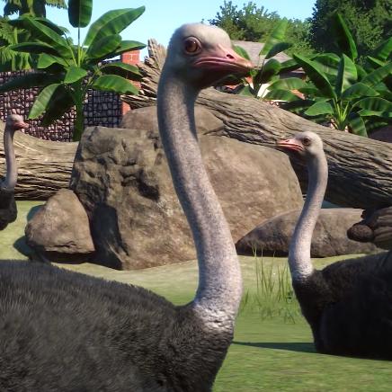 打造动物梦想家园，《动物园之星》随心所欲创奇迹