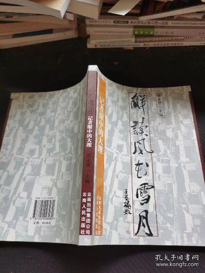风花雪月副标题深藏博大智慧，总监叹中文魅力无穷