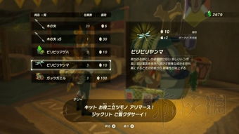 荒野重弩炮波衣龙攻略：全新样式与高效狩猎路线解析