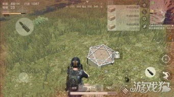 荒野轻弩炮锁刃龙样式解析与攻略路线全揭秘 荒野轻弩炮锁刃龙样式解析与攻略路线全揭秘