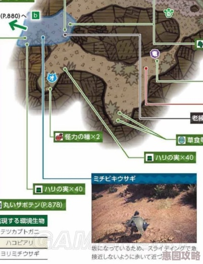 《怪物猎人荒野》天堑沙原钓鱼秘境攻略，钓获珍稀鱼类指南