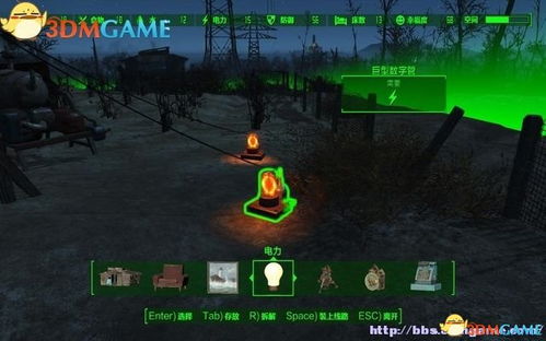 端丽翼鸟狩猎攻略：荒野捕获技巧大揭秘