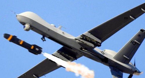 荒野钓法攻略：高效捕捉带卵弓鳍鱼的独门技巧