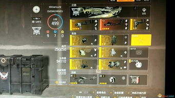 荒野铳枪毕业攻略：掌握绝学，解锁最强装备秘籍