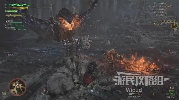 火龙攻略揭秘：荒野狩猎技巧与珍贵掉落解析