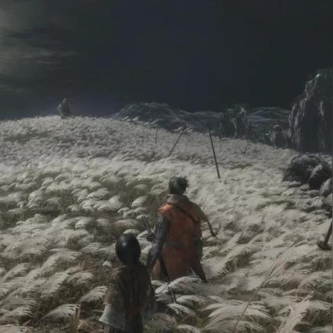 《只狼：影逝二度》独家MOD！2B小姐姐惊艳加入，战斗新体验！