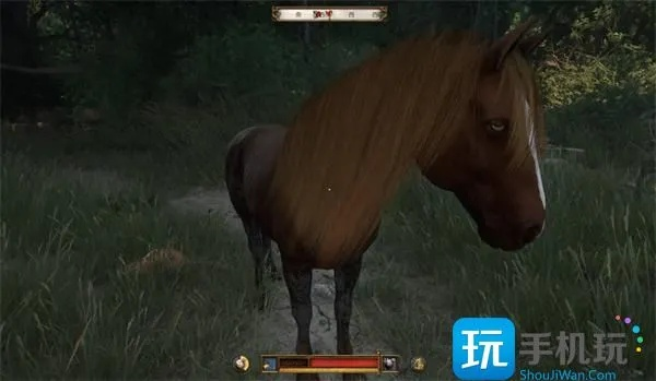 《天国拯救2》马匹草地获取攻略，高效位置解析新技巧