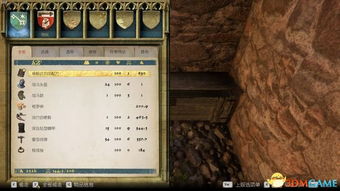 猫科护裆藏宝图：揭秘神秘新价值宝藏位置