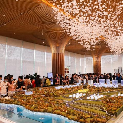 红色进化先锋，揭秘派系新纪元