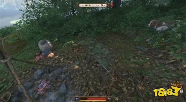 《天国拯救2》马匹刷点攻略:独家无限刷马秘籍! 《天国拯救2》马匹刷点攻略:独家无限刷马秘籍!