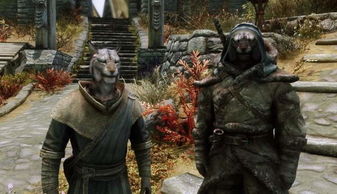 《上古卷轴5》Mod开发者遭遇生死危机,揭秘人性阴暗面 《上古卷轴5》Mod开发者遭遇生死危机,揭秘人性阴暗面