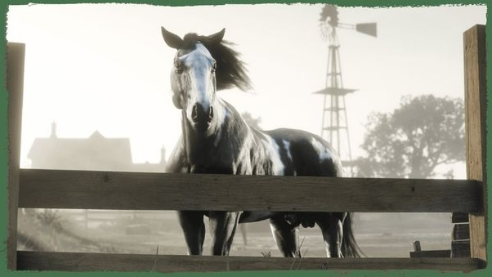 《荒野大镖客OL》惊现马尸之谜,诡异事件引发探秘狂潮 《荒野大镖客OL》惊现马尸之谜,诡异事件引发探秘狂潮