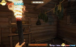 《天国拯救2》龙之马鞍位置攻略：200磅负重马鞍详解秘籍