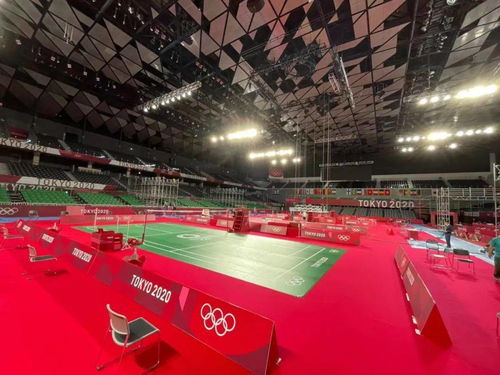 《2020东京奥运》独家揭秘：运动员个性定制新篇章