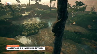 古猿求生揭秘:先祖漫游丛林新篇章 古猿求生揭秘:先祖漫游丛林新篇章