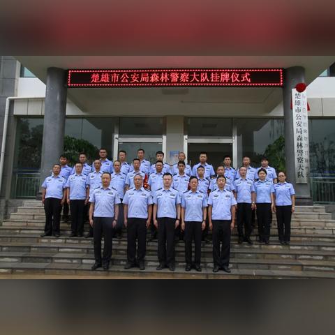 孔雀特色解析：揭秘《文明7》独特战略优势