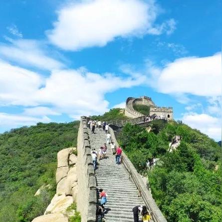 《文明7》孔雀特色解析：深度揭秘独特优势