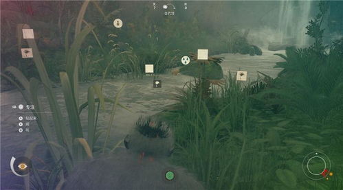 《猴子模拟器探秘:先祖漫游之旅深度解析》 《猴子模拟器探秘:先祖漫游之旅深度解析》