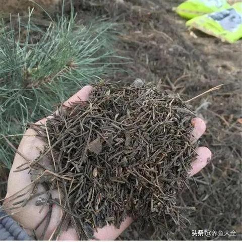 《废土3》规模震撼升级,超预期巨制惊艳亮相 《废土3》规模震撼升级,超预期巨制惊艳亮相