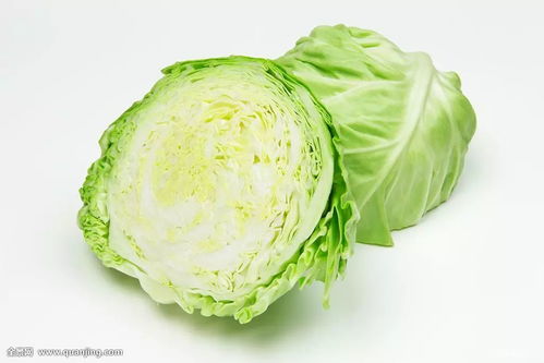 《天国拯救2》高效卷心菜攻略:轻松无限产菜技巧揭秘 《天国拯救2》高效卷心菜攻略:轻松无限产菜技巧揭秘