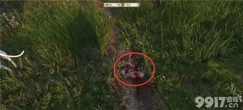 《天国拯救2》羊入狼群攻略：羊群生存技巧大揭秘