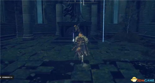 《艾尔登法环》双吻毒蛾战灰攻略：高效获取新技巧揭秘