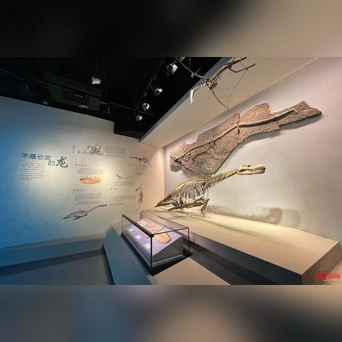 《真三国无双起源》矛连招教学:轻松掌握高效战斗技巧 《真三国无双起源》矛连招教学:轻松掌握高效战斗技巧