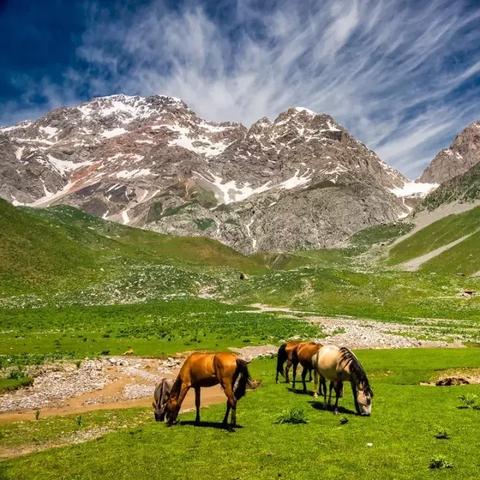 《全境封锁2》预载解锁时间大揭秘，全新体验提前知晓