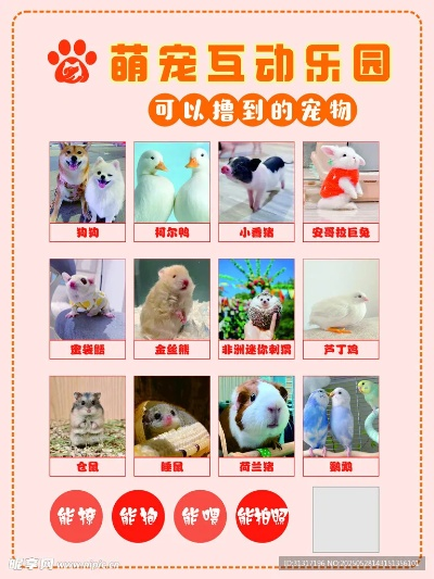 《萌宠乐园:猫狗新欢4月惊喜上市》 《萌宠乐园:猫狗新欢4月惊喜上市》