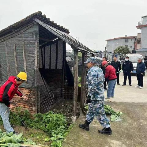 飞鸾枪获取攻略:揭秘高效获取新途径 飞鸾枪获取攻略:揭秘高效获取新途径