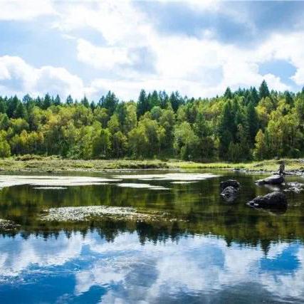 博人/达尔新篇，揭秘《Jump大乱斗》激战秘境